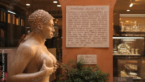 The tits fountain, Treviso photo