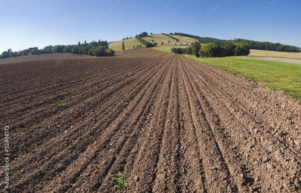 Ploughed farm field and Landscape