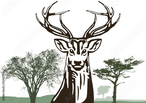 Hirsch mit Bäumen