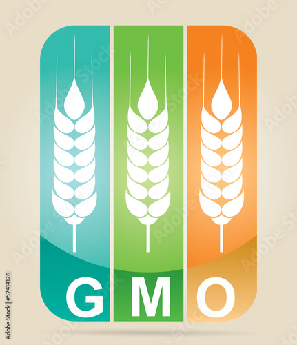 Genetically modifies plants