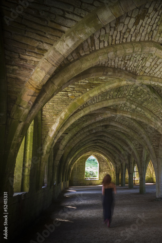 Fountains Abbey  Cellarium ghost