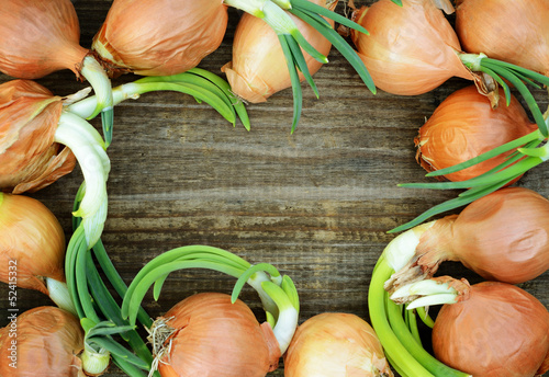 Onion frame on wooden board