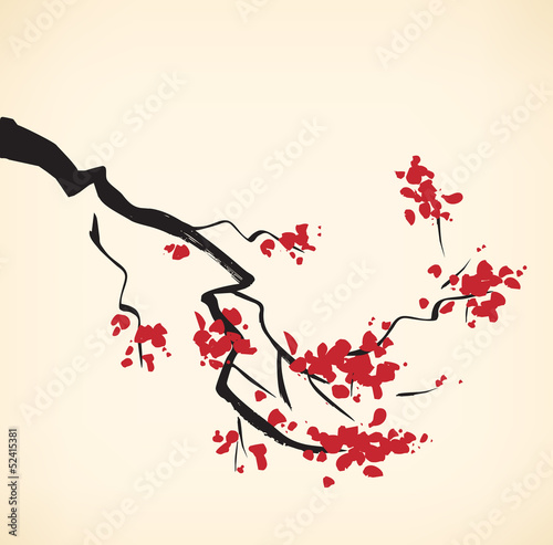 Carta da parati il sakura - Carta da parati Cherry tree branch