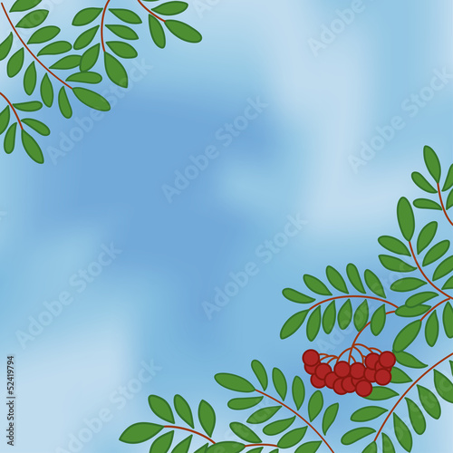 Background with rowanberry on sky