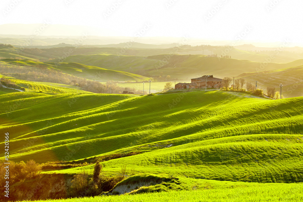 Fototapeta premium Countryside, San Quirico d`Orcia , Tuscany, Italy