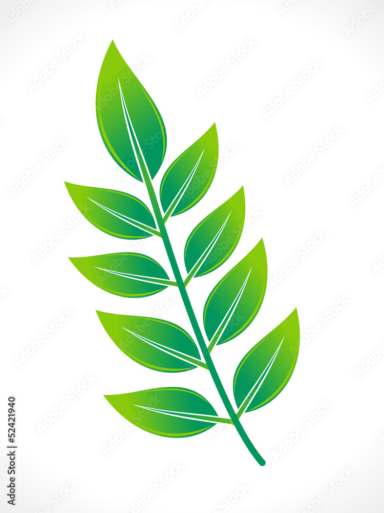 Fototapeta premium abstract eco green leaf icon