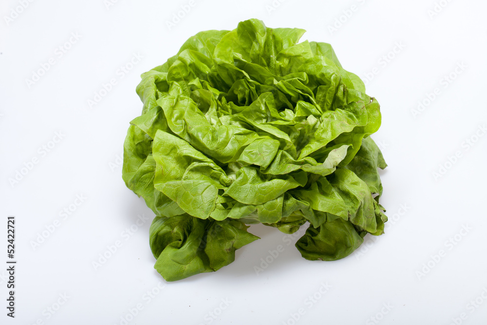 Fresh green Lettuce salad isolated on white background Fresh green Lettuce salad isolated on white background