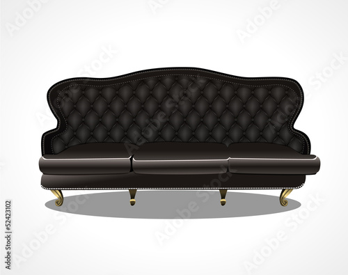 Luxury leather couch