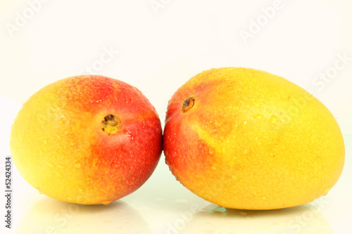 mango in white back ground