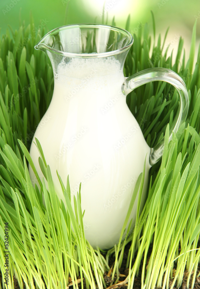 Glass pitcher of milk standing on grass close up Glass pitcher of milk standing on grass close up