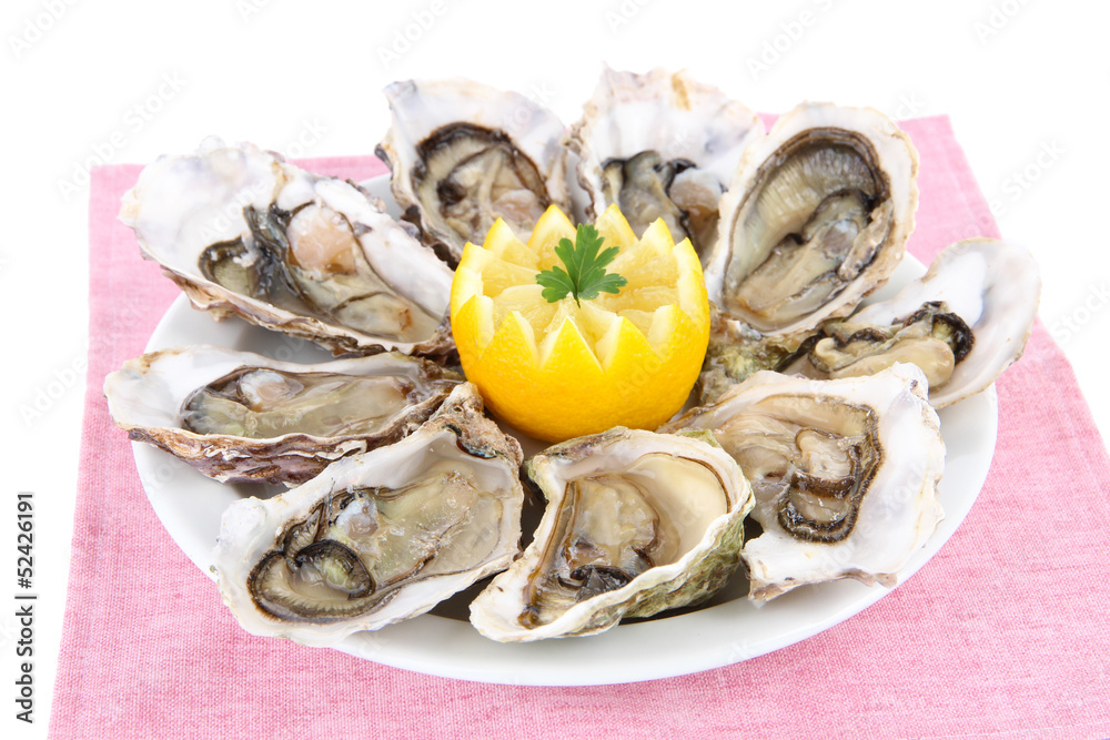Oysters isolated on white Oysters isolated on white