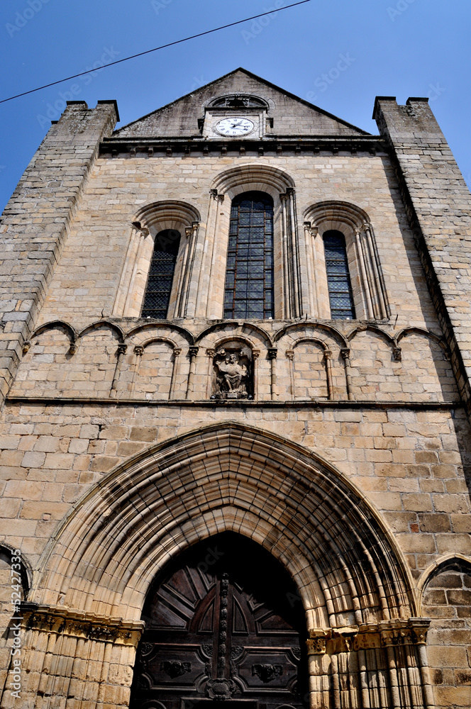 Fototapeta premium limousin