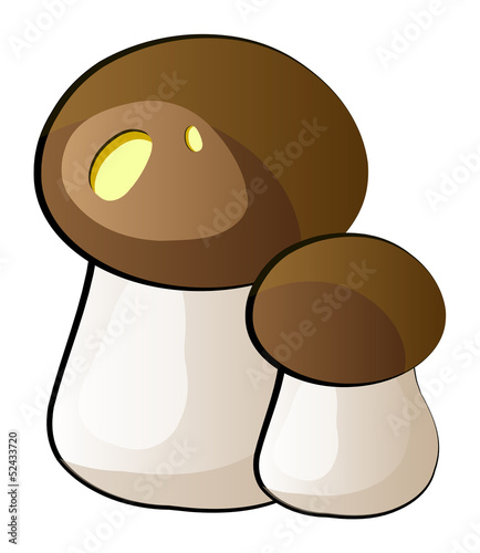 Vector mushroom boletus