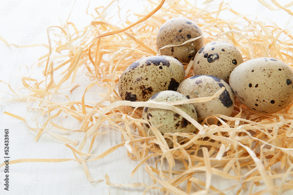 Quail eggs Quail eggs