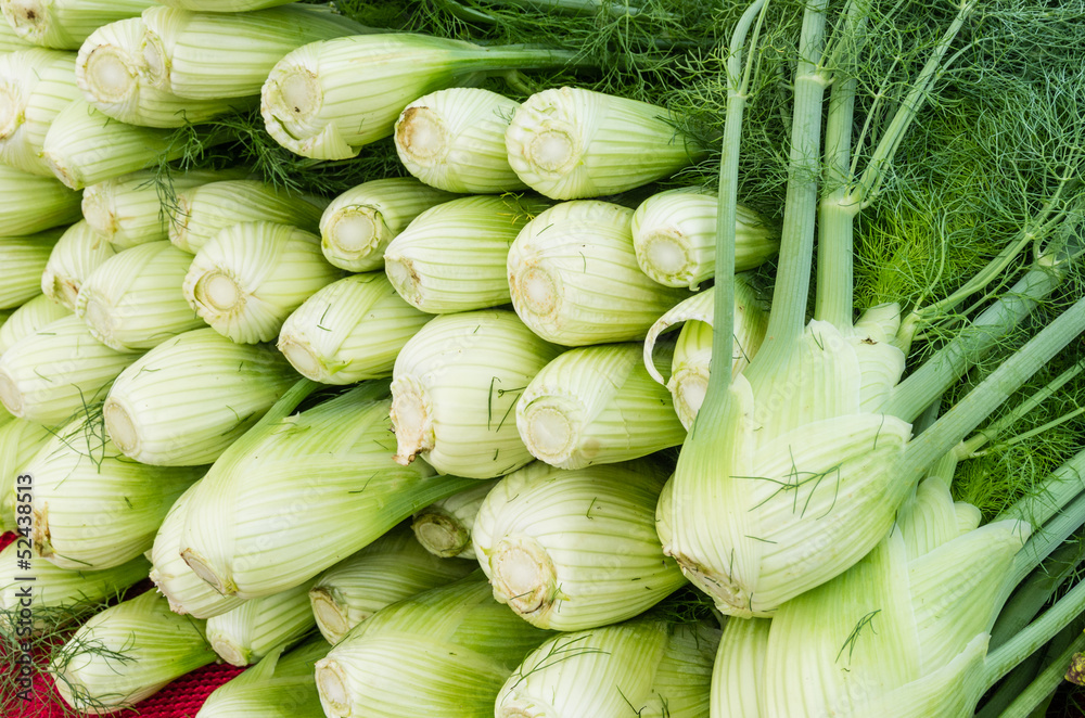 Fresh fennel bulbs at the market