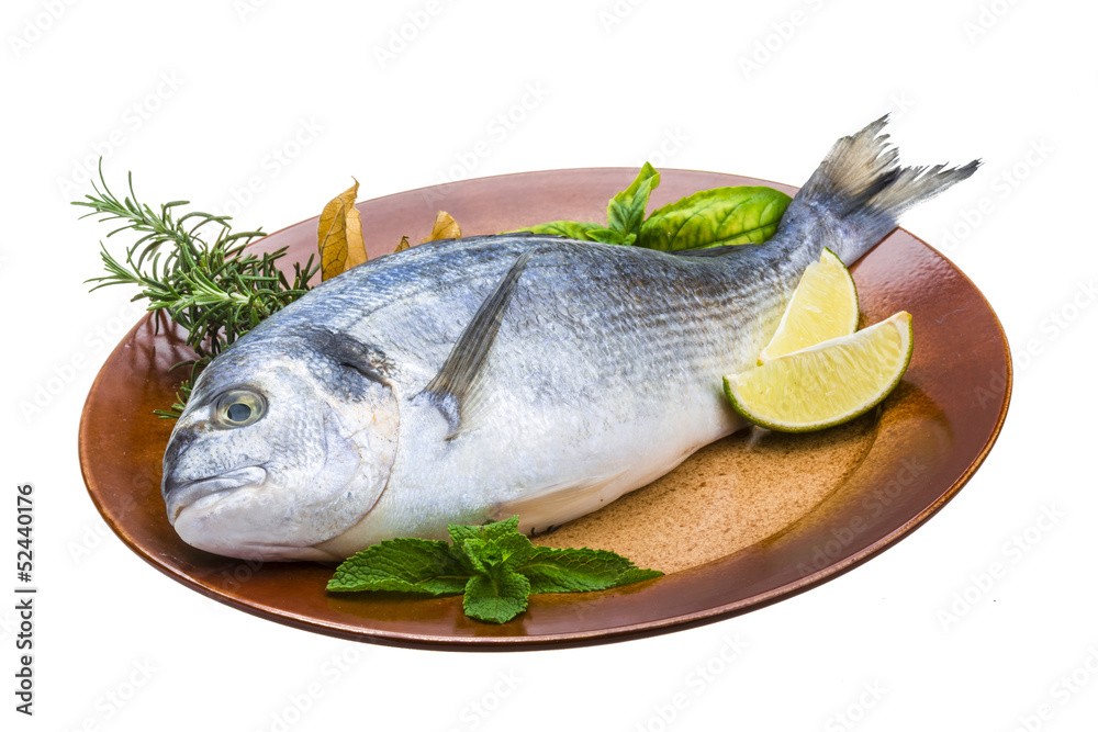 Fresh raw dorada Fresh raw dorada