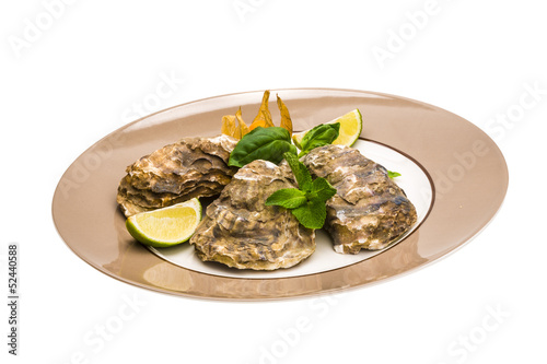 Fresh oyster