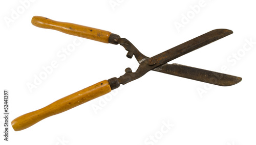 Bild auf Leinwand gardener hedge trimmer clipper tool isolated white