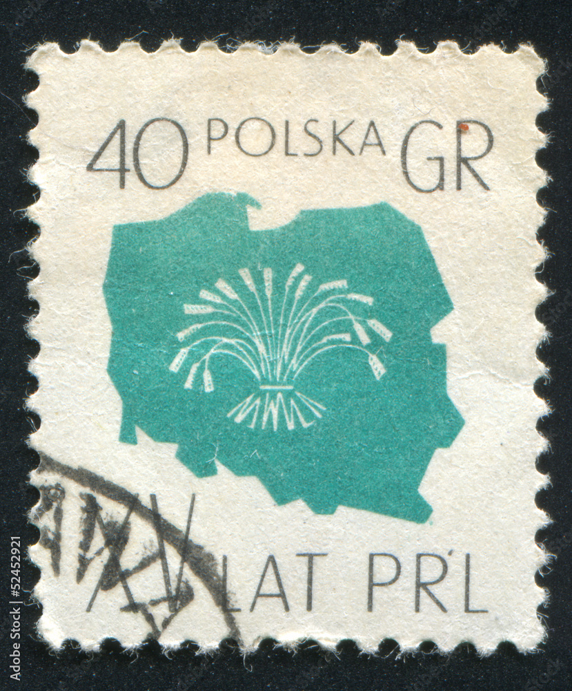 Naklejka premium Map of Poland and Symbol of Agriculture