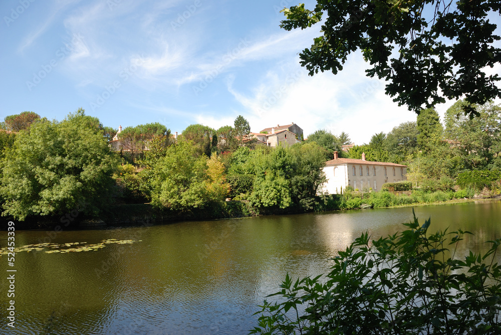 Obraz premium Edge of the Sèvre Nantaise