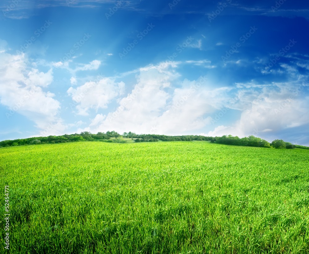 Green field and blue sky