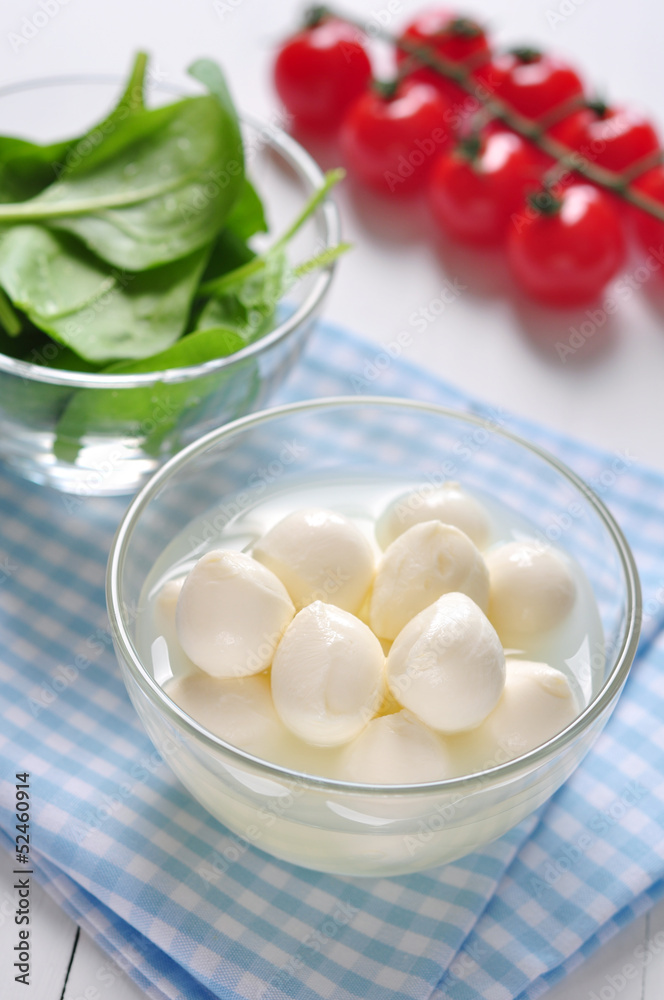 Mozzarella cheese Mozzarella cheese
