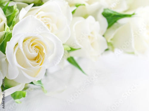 Closeup of white roses