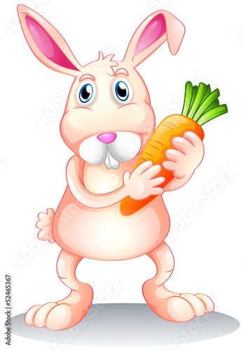 A fat bunny holding a carrot