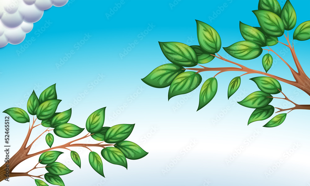 Naklejka premium The green leaves and the clear blue sky