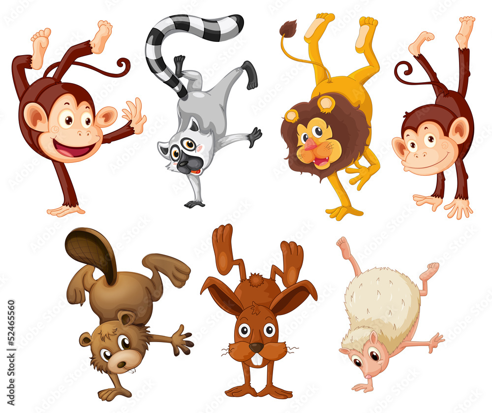Different animals doing handstands Different animals doing handstands