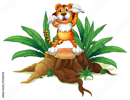 A stump with a tiger