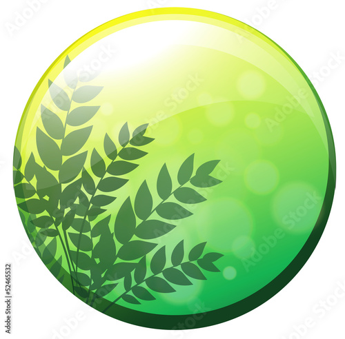 A green circle border