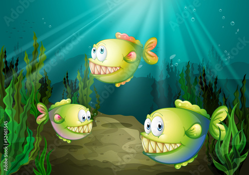 Three piranhas under the sea with seaweeds