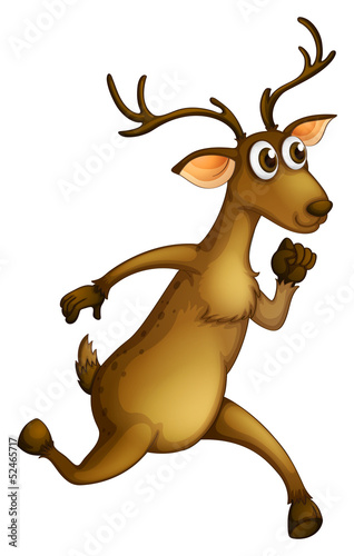 A deer running