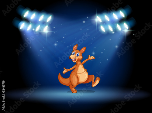 A kangaroo under the spotlights
