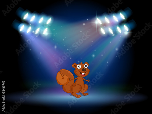 A squirrel at the stage with spotlights