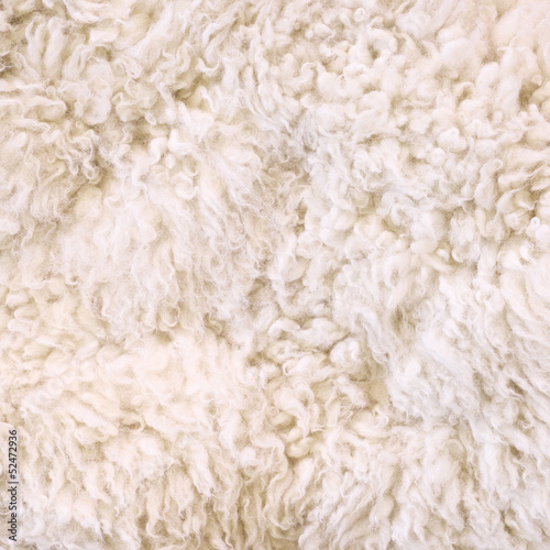 White fur as abstract background