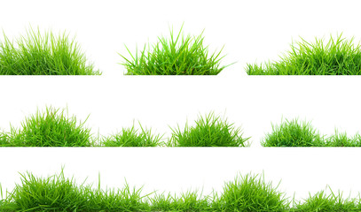 Acrylglasbilder Gras Saftiges Gras in Nahaufnahme  © antpkr