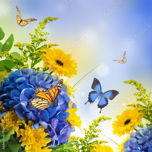 Bouquet from blue hydrangeas and  butterfly, a flower background