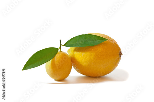 Small and big lemons isolated on white