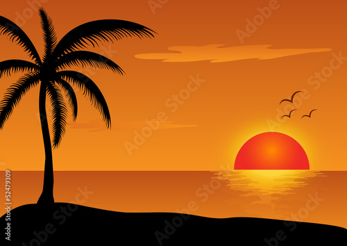 sunset