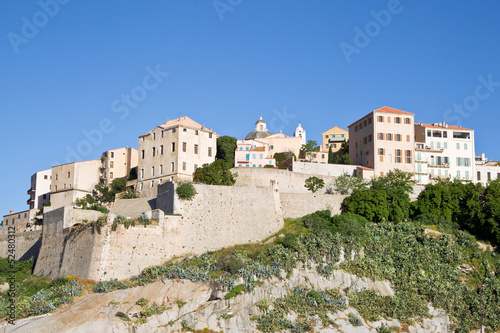 Stadt Calvi auf Korsika