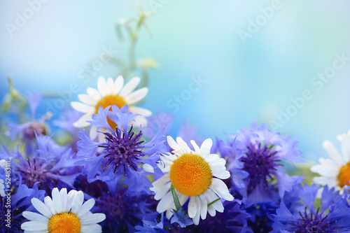 Fototapeta Naklejka Na Ścianę i Meble -  Beautiful bouquet of cornflowers and chamomiles