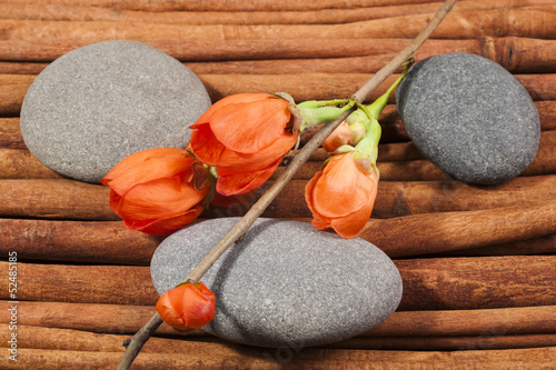 Photography River's stones with a sprig of flowers, zen composition.