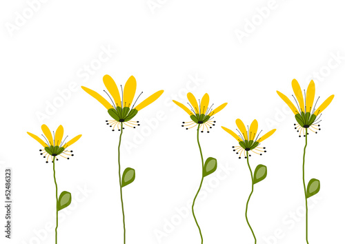 gelbe blumen