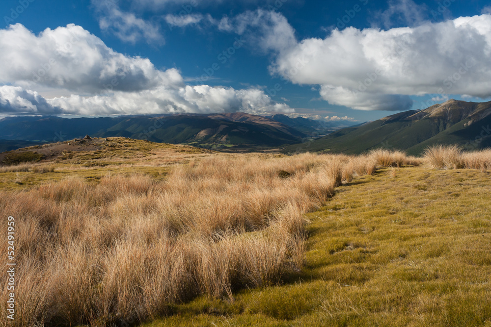 subalpine pastures in Nelson Lakes National Park