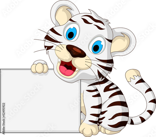 Fototapeta Naklejka Na Ścianę i Meble -  cute baby white tiger posing with blank sign