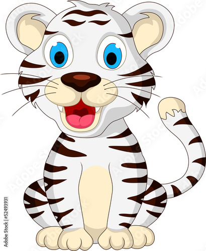cute baby white tiger sitting