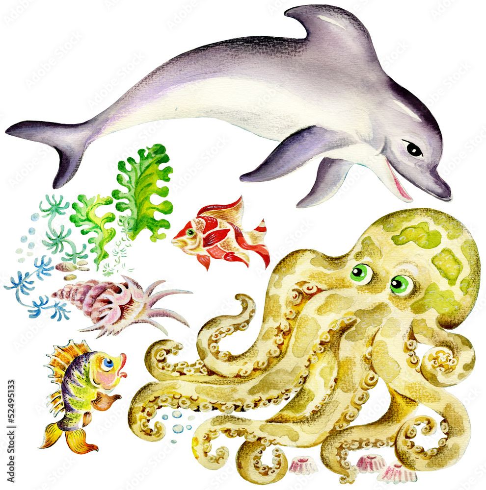 Fototapeta premium Aquatic animals: dolphin and octopus, fishes and shell