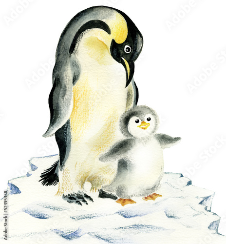 Illustration of cute penguins: mother and baby